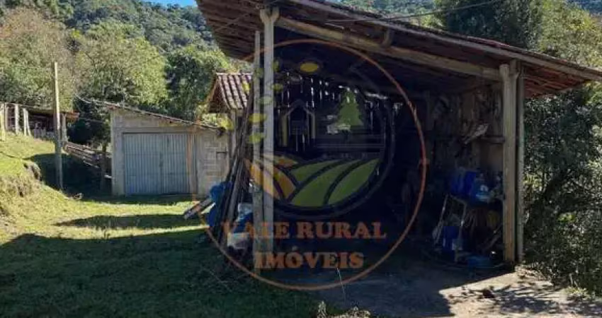 Raridade ! área escriturada de 46.000 m² com pasto formado, galpão, nascente e muitas benfeitorias! ar00061