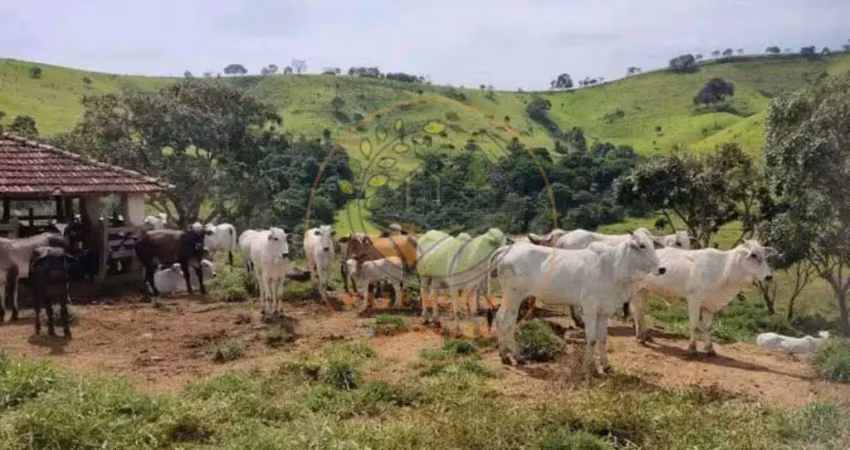 Excelente fazenda com 347 hectares no sul de minas para pecuaria de corte e leite! fa00068
