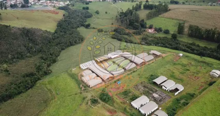 Excelente área escriturada com 35 hectares, muita água e 19 barracões! ar00038