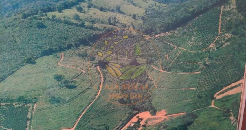 MARAVILHOSA FAZENDA PARA CAFÉ COM 16,60 HECTARES NO SUL DE MINAS! PORTEIRA FECHADA! FA00056