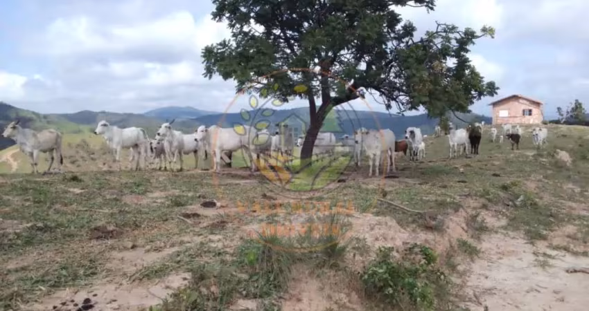 Oportunidade! excelente área rural para fazenda com 40 alqueires! ar00029