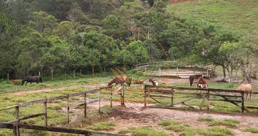 Excelente sítio - haras formado com 114.700 m² em mogi das cruzes com muitas benfeitorias! st00061
