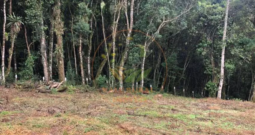 Imperdível! terreno em campos do jordão com 3.307 m², abaixo do valor de mercado e ótima localização! ar00026