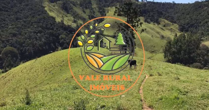 Oportunidade de negócio!! ótima área de 7 alqueires em sapucai mirim  - ar00014