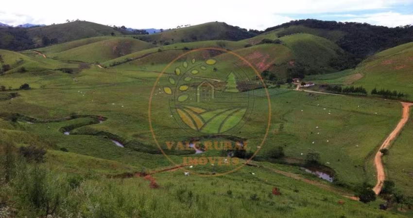 ÓTIMA FAZENDA EM SILVEIRAS DE 106 ALQUEIRES, COM MUITO PASTO E EUCALIPTO -  FA00012
