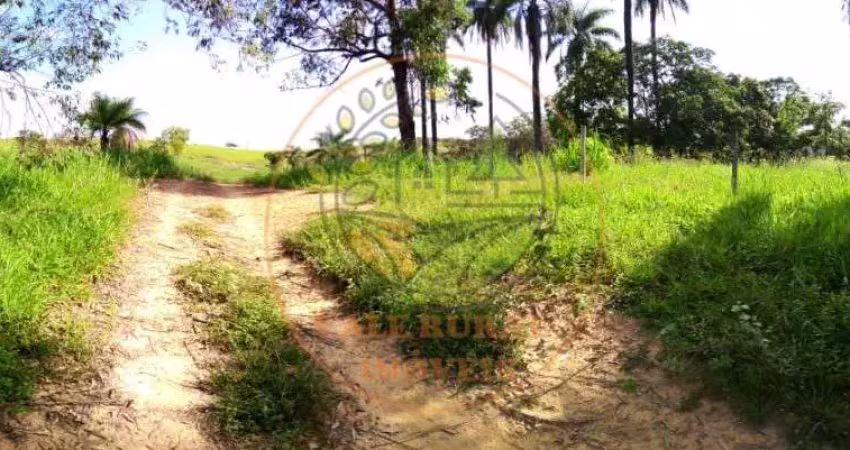 Fazenda à venda no Centro, Tiros 