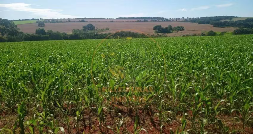 Excelente fazenda de 69 alqueires em piracanjuba de goiás  fa00194