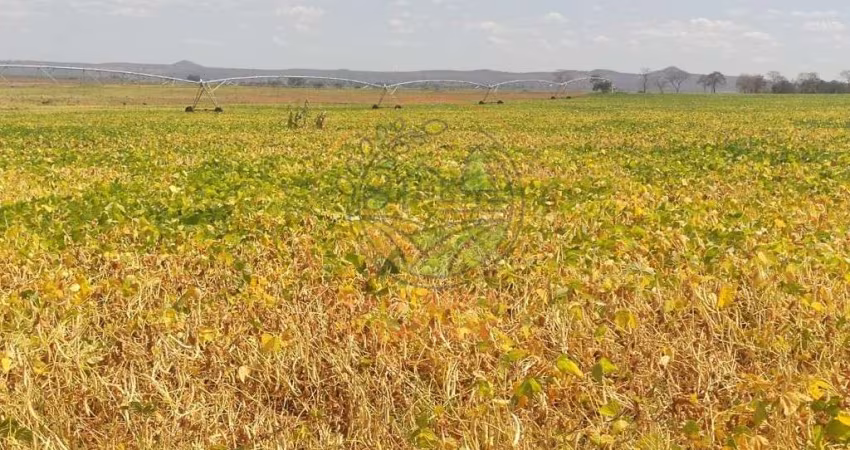 MARAVILHOSA FAZENDA DE 3000 HECTARES EM BURITIZEIRO - MG  FA00213
