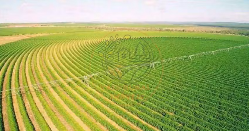 Exclente fazenda de café na região de buritizeiro - mg  fa00209