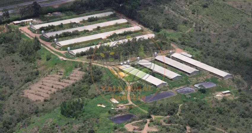 Excelente! granja em pleno funcionamento próxima á br 060-  df/go   fa00219