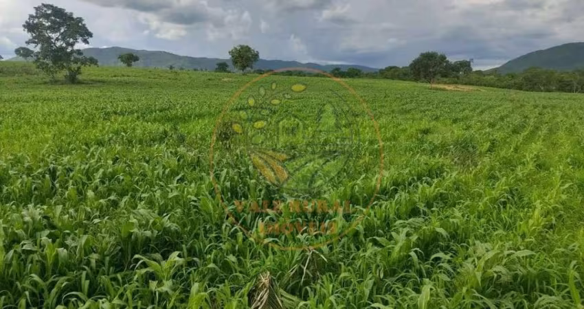 FAZENDA DE 2.725 HECTARES COM 2.000 CABEÇA DE GADO NA REGIÃO DE MONTE ALEGRE DE GOIÁS-GO FA00223