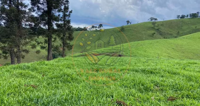 Excelente área em sapucai mirim - mg com 7 alqueires, com vista deslumbrante  ar00096