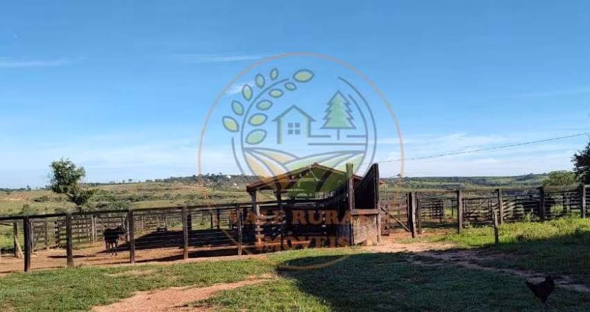 EXCELENTE! FAZENDA DE GADO PRONTA EM SÃO GONÇALO - MG  FA00228