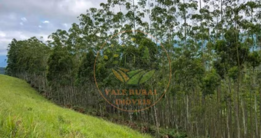 EXCELENTE ÁREA RURAL COM 8 ALQUEIRES EM SÃO FRANCISCO XAVIER - SP  AR00097