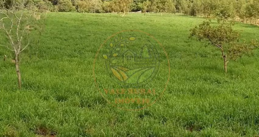 Fazenda à 100 km araguaína-to, com 385 alqueires voltada pra pecuária e agricultura, com 7,5 km de rio fa00241