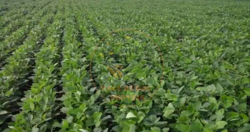 Fazenda 1.238 hectares na região de capitólio em minas gerais!  fa00246