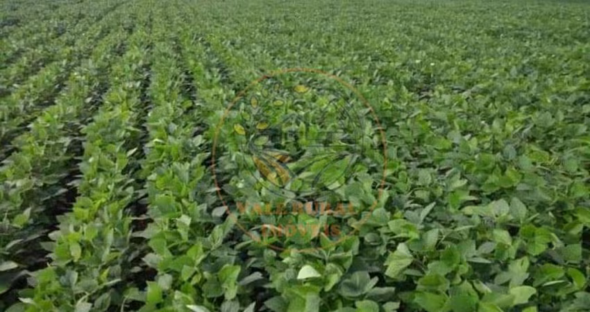 FAZENDA 1.238 HECTARES NA REGIÃO DE CAPITÓLIO EM MINAS GERAIS!  FA00246