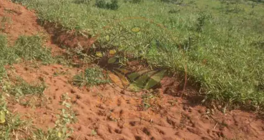 Fazenda à venda no Centro, Mineiros 