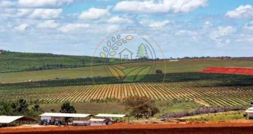 FAZENDA DE CAFÉ, 3.000 HECTARES NA REGIÃO DE VÁRZEA DA PALMA - MG  FA00250