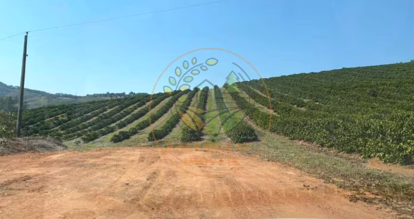 FAZENDA COM 126 HECTARES EM SÃO GONÇALO DO SAPUCAÍ- MG  FA00255