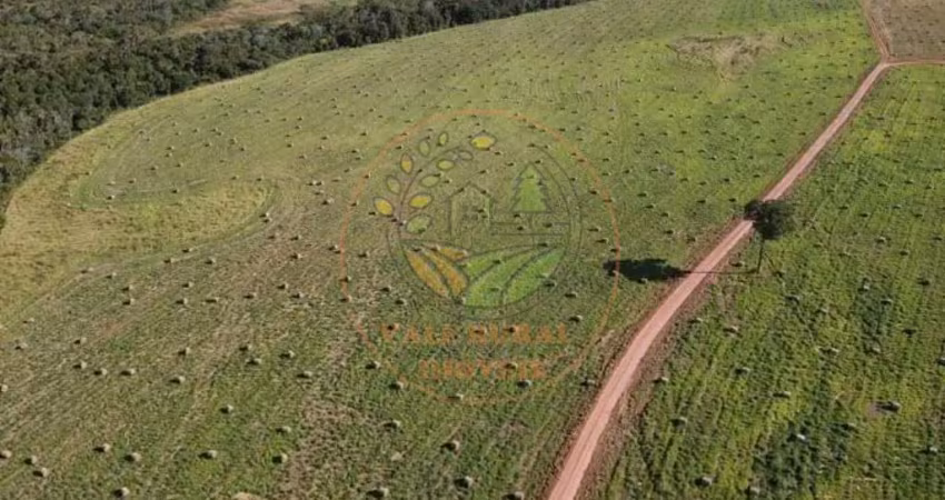 Excelente fazenda de 1.800 hectares em barra do garça - mt  fa00265