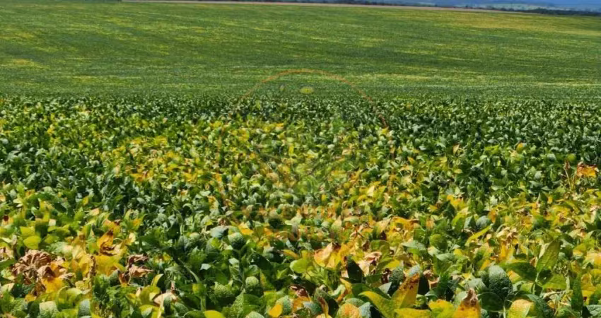 EXCELENTE FAZENDA DE 1.738 HECATRES EM LUZIANIA - GO  FA00274