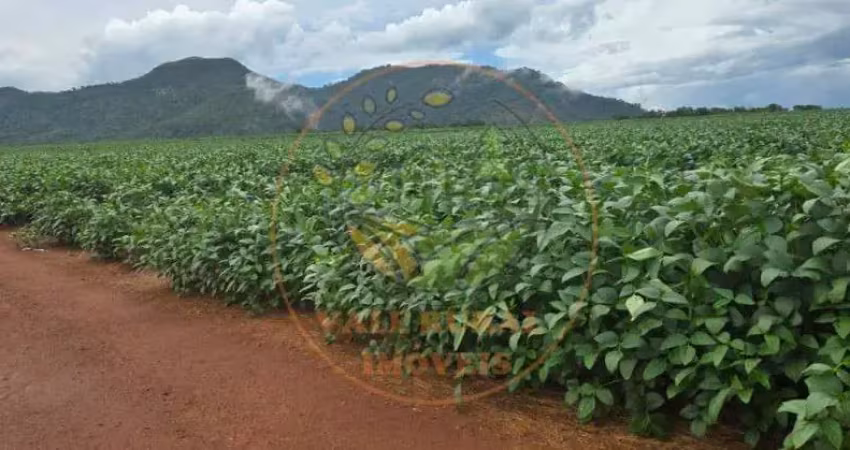 Fazenda de 319 alqueires em brejinho alegre- to  fa00273