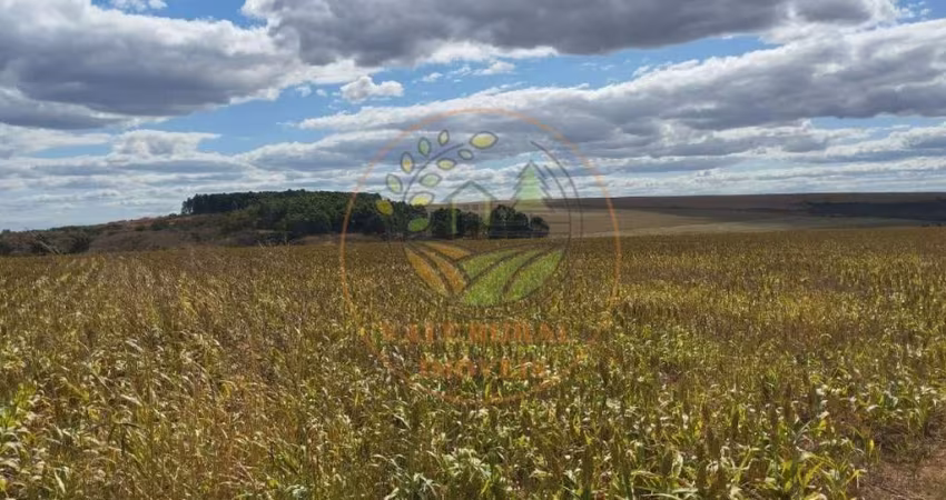 OPORTUNIDADE! FAZENDA EM ÁGUAS FRIAS DE GOIÁS COM 1603 HECTARES  FA00270