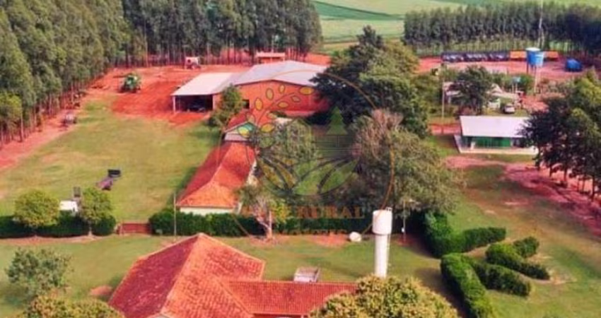 EXCELENTE FAZENDA COM 90.000 HECTARES NA REGIÃO DE PARANATINGA - MT  FA00281