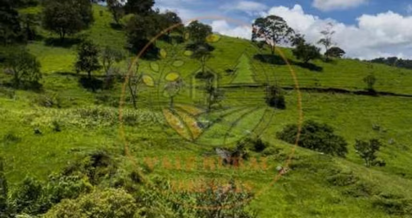 EXCELENTE! ÁREA DE 4 ALQUEIRES  EM SÃO BENTO DO SAPUCAÍ- SP  AR00103