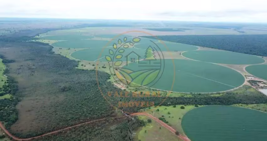 Excelente fazenda de alta produtividade em jussara - go  fa00295