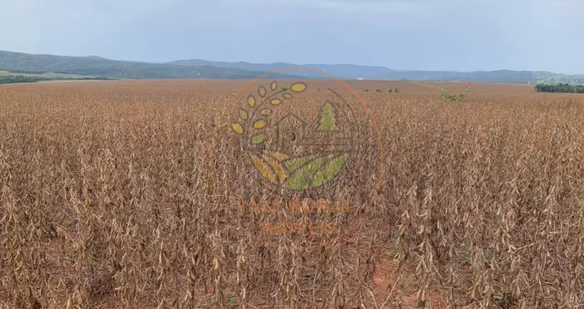 Fazenda na região de caldas novas - go com 716 alqueires  fa00294