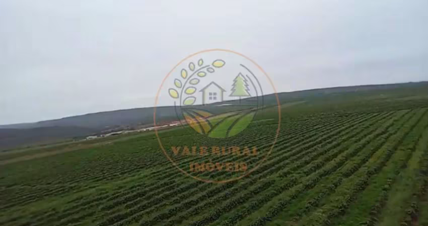 Excelente fazenda de café a venda em minas gerais  fa00301