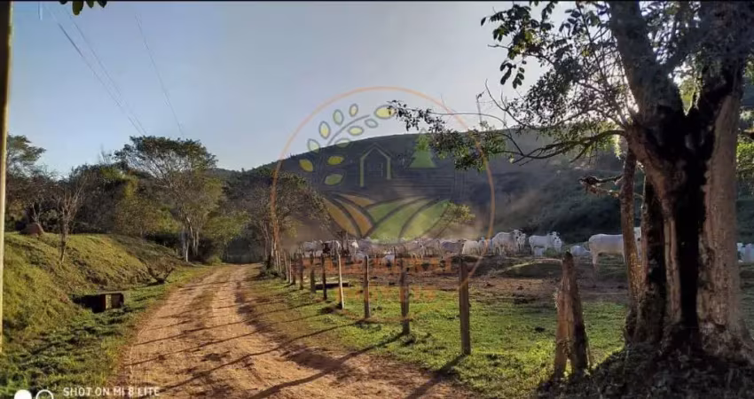 Fazenda de 106 alqueires na região de são josé dos campos- sp  fa00305