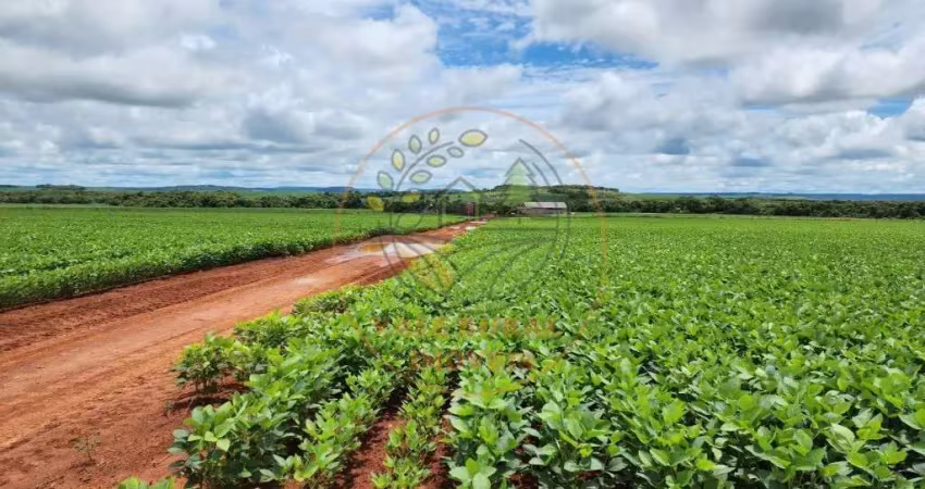 Fazenda de 3.620 hectares na região de água boa - mato grosso  fa00313