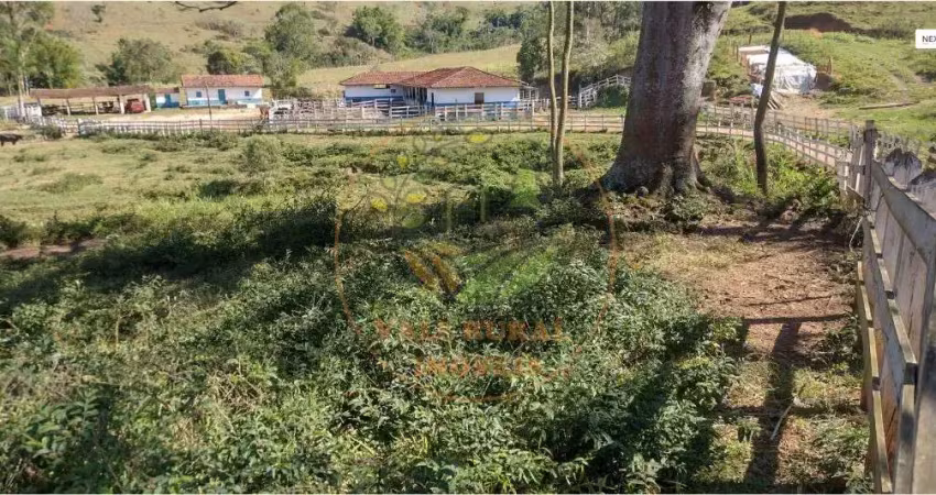 Sitio em natividade da serra - sp com 20 alqueires  st00268