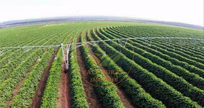 Vendo fazenda de café em -minas gerais  excelente oportunidade de investimento.fa00328
