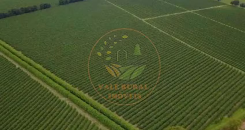 Vendo fazenda de café -serra do cabral/mg excelente oportunidade de investimento fa00327