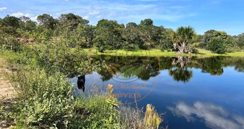 Fazenda à venda-buritizeiros/mg excelente oportunidade de investimento. fa00336