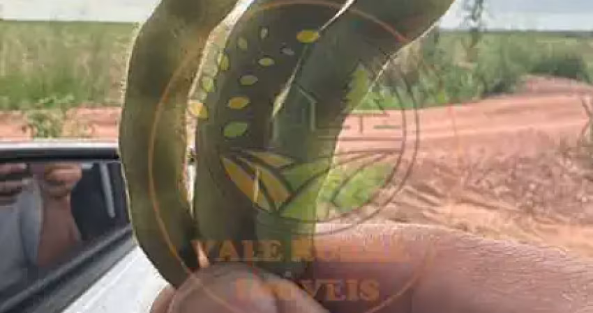 Fazenda à venda  região de tocantins /go  oportunidade única alta capacidade de plantio.   fa00343