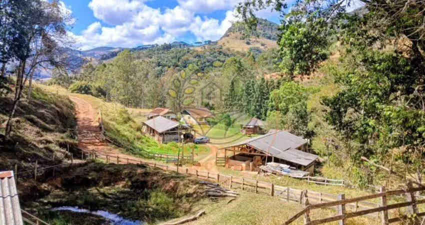 Fazenda à venda porteira fechada na região brazópolis-mg estrutura completa, produção ativa e alto potencial de investimento  fa00345