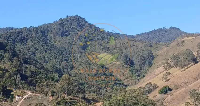 Imperdível fazenda à venda em campos do jordão/sp  natureza exuberante, vista panorâmica e grande potencial de valorização fa00344