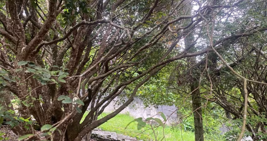 Um terreno magnifico na melhor rua do melhor condominio horizontal da cidade de Arujá