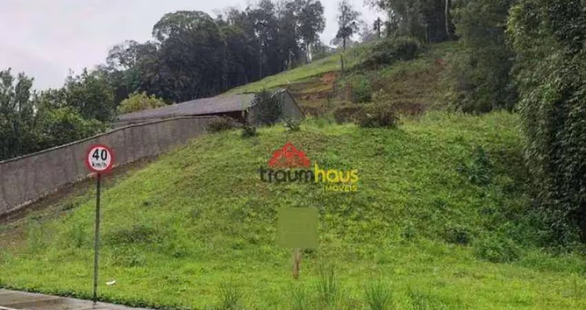 Terreno à venda, 12000 m² por r$ 290.000,00 - vila itoupava - blumenau/sc