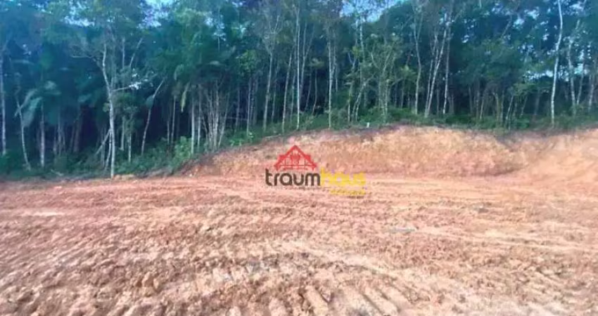 Terreno à venda, 6736 m² por r$ 250.000,00 - vila itoupava - blumenau/sc