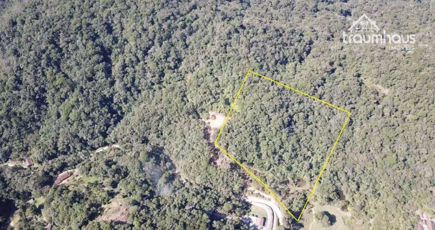 Terreno à venda, 25000 m² por r$ 350.000,00 - vila itoupava - blumenau/sc