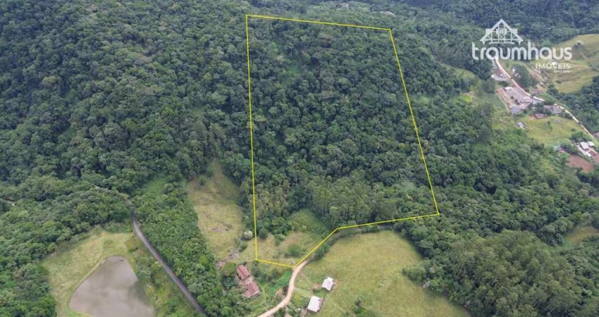 Terreno à venda, 40607 m² por R$ 270.000,00 - Itoupava Central - Blumenau/SC