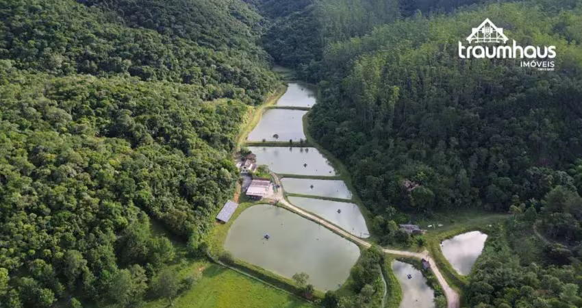 Sítio à venda, 404.393,40 m² por r$ 6.000.000 - gaspar grande - gaspar/sc
