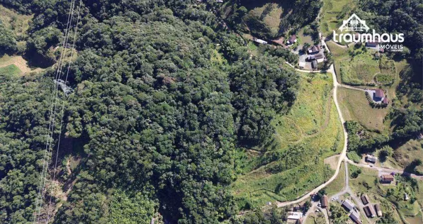 Terreno à venda, 77.937,18 m² por r$ 490.000 - vila itoupava - blumenau/sc
