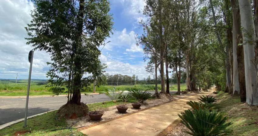 Terreno à venda em jaguariúna, colina do castelo, com 250 m², la dolce vita